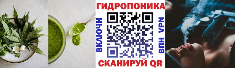 продажа наркотиков  Бабаево  Еда ТГК марихуана 