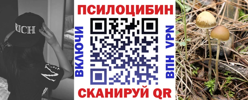 Галлюциногенные грибы ЛСД  закладки  Бабаево 